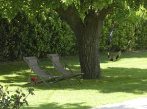 Zahrada ubytování B&B Campodisole