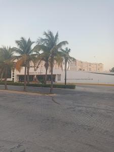 une rue avec des palmiers en face d'un bâtiment dans l'établissement Sandy's room, à Cancún