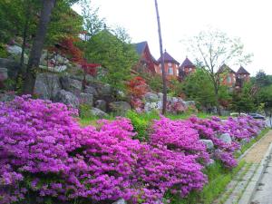 Elf Resort Hotel外面的花园