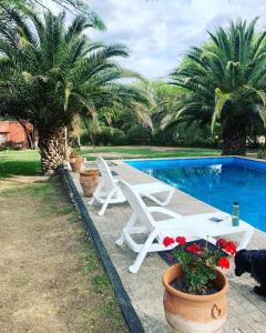 Πισίνα στο ή κοντά στο La carolina +10 φωτογραφίες