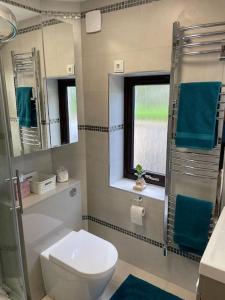 a bathroom with a toilet and a window and blue towels at The Apartment in Nairn