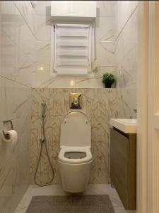 La salle de bains blanche est pourvue de toilettes et d'un lavabo. dans l'établissement Appartement Premium Le Marquis, à Pfastatt