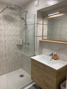 La salle de bains est pourvue d'une douche et d'un lavabo. dans l'établissement Appartement Premium Le Marquis, à Pfastatt