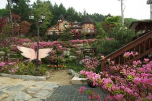 Elf Resort Hotel外面的花园
