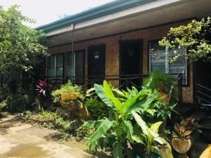 una casa con plantas delante de ella en Pinaluyan Guest House, en Puerto Princesa City