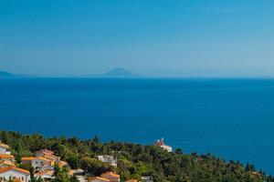 Naturlandskabet i nærheden af lejligheden