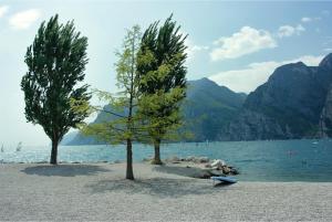 two trees on a beach next to the water at La Romantica Pool and Garden House in Manerba del Garda +5 photos