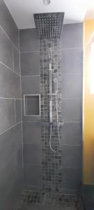 a shower in a bathroom with a shower at KAZ A NINE in Saint-Pierre