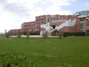 Vonkajšia záhrada v ubytovaní Magnifique T2 40m² avec terrasse, accès direct plage et piscine à Sète - FR-1-472A-268