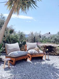 two benches with pillows sitting next to a palm tree at Stilvolle Villa mit Strandlage in Didim