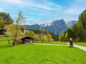 a green field with mountains in the background at Mountain Idyll by the River High-End Apartment in the Ötztal Valley 