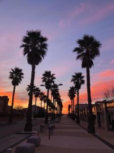 een rij palmbomen op een stoep bij zonsondergang bij Résidence Le SUNSET Marseillan-plage, entre mer et lagune de Thau, étape vélo, famille, couple, VRP, toutou admis, jardin, parking privé gratuit, vélos, Clim, WIFI fibre gratuite, commodités, plage et piste cyclable à proximité, 6 couchages nous contacter in Marseillan