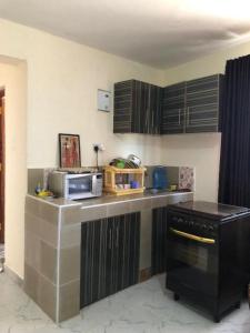 a kitchen with a counter top and a microwave at Zanale Stays Furnished Apartment? in Nairobi