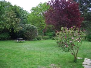 A garden outside Oakhurst Gatwick B&B