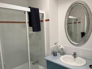 y baño con lavabo y ducha con espejo. en Swan Guest House en Brisbane
