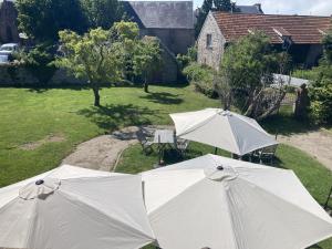 Zahrada ubytování Logis Auberge de Carolles + 5 fotografií