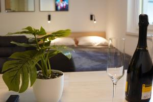 克拉尼斯卡戈拉Studio Pika的一瓶葡萄酒和一张桌子上的植物 更多12张照片