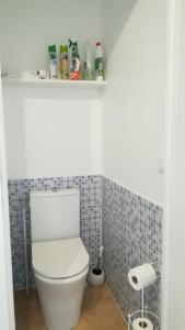 a bathroom with a white toilet and a shelf at Studio cosy Yssac-la-Tourette in Yssac-la-Tourette