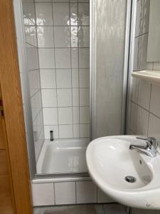 ein weißes Bad mit einem Waschbecken und einer Dusche in der Unterkunft Ferienwohnung Zweinig 03 in Roßwein