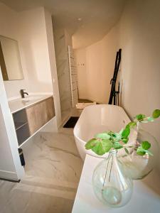 Vonios kambarys apgyvendinimo įstaigoje Vins de Dagne