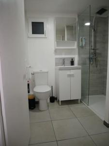a white bathroom with a toilet and a shower at Studio Indépendant, au calme. in La Roche-sur-Yon