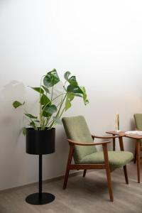 a plant in a black pot sitting next to two chairs at Bob W Sentralen in Oslo