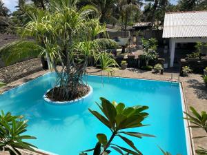 a blue swimming pool with a palm tree in it at Aprima Hotel in Kalutara