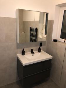 een badkamer met een wastafel en een spiegel bij Haus Kreienmoor in Schwanewede