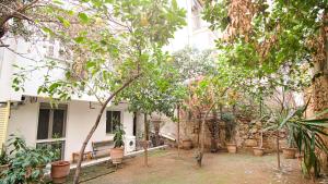 una casa con alberi e una panchina di fronte ad essa di quiet and central FLAT with private backyard GARDEN ad Atene