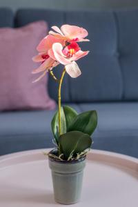 une fleur rose dans un pot sur une table dans l'établissement Poseidonio, au Pirée