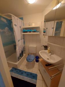 ein Bad mit einem Waschbecken, einem WC und einer Dusche in der Unterkunft Ferienwohnung "Lützowhof" in Lübeck