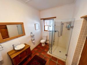 Un baño con ducha, lavabo e inodoro. en Prince Albert Cottage, en Prince Albert 11 fotos más