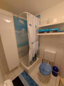 ein Badezimmer mit einem blauen WC und einer Dusche in der Unterkunft Ferienwohnung "Lützowhof" in Lübeck