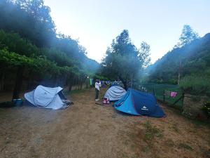 a person standing next to two tents in a field at Agricamping Ponteraggio n.1 in Dolceacqua