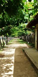 Agricamping Ponteraggio n.1外面的花园