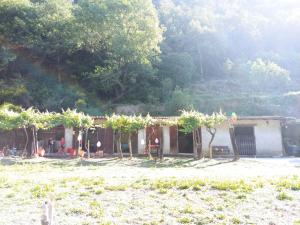 Agricamping Ponteraggio n.1外面的花园