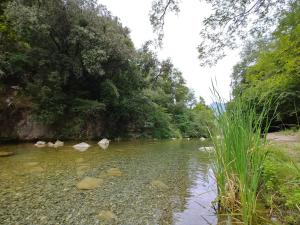 露营地周边自然景观