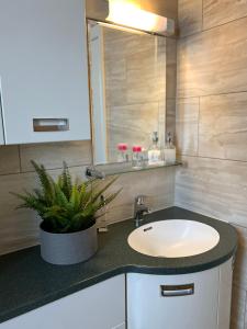 a bathroom with a sink and a plant on a counter at Bouverie Bolthole in Folkestone