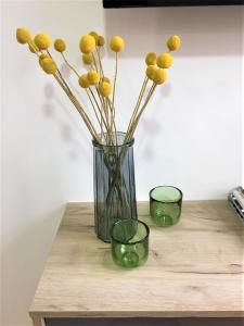 Imagine din galeria proprietății Flat Ruby în Sombor
