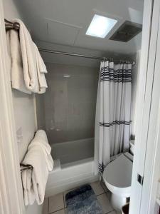 La salle de bains est pourvue d'une douche et de toilettes. dans l'établissement Pe'a Ocean View Suite @Waikiki Banyan +1 Free Park, à Honolulu