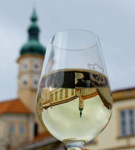 a glass of wine with a reflection of a building at Familly Apartmens in Dolní Dunajovice