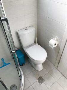 een badkamer met een toilet en een rol toiletpapier bij O Kipos in Zárakes