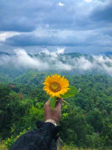 a person holding a sunflower in the sky at Misty Hills Villa Kadugannawa in Kadugannawa