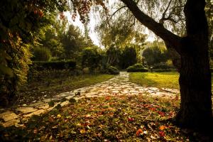 a stone path in a park with a tree at Hotel Berke Ranch&Nature in Kemer