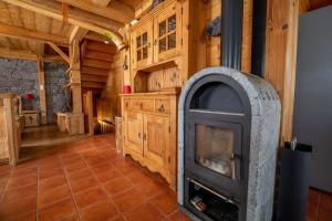 Duży pokój z kominkiem w drewnianym domku w obiekcie Les Griottes, véritable chalet de montagne, avec Jacuzzi et Sauna w mieście Xonrupt-Longemer