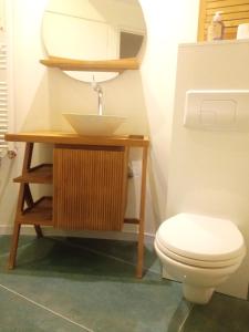 a bathroom with a toilet and a sink and a mirror at Chambre élégante dans chalet SDB partagée à proximité in Chavagne