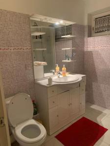 a bathroom with a toilet and a sink at Appartement - Bischheim in Bischheim