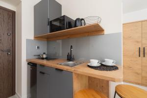 Kuchyňa alebo kuchynka v ubytovaní Modern Studio Cracow Rakowicka 14 by Noclegi Renters + 30 fotografií