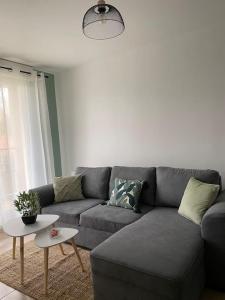 a living room with a gray couch and a table at Appart COSY F2 Disneyland/Val d'Europe in Montévrain