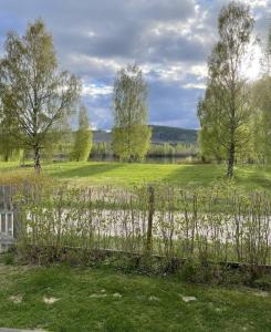 Blick auf ein Feld mit Bäumen und einem Teich in der Unterkunft Gästezimmer in Yggenäs Ekshärad in Ekshärad